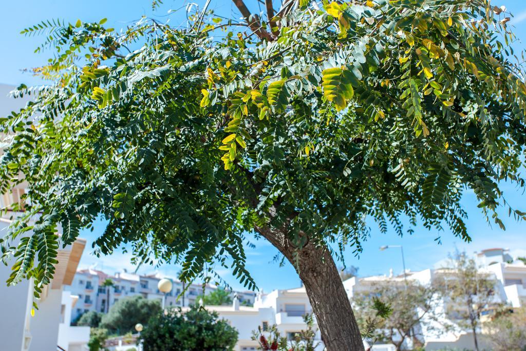 Villa Vista Anders Mar Λάγος Εξωτερικό φωτογραφία